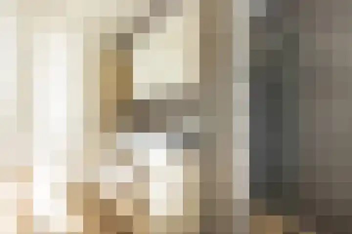 Leeuwerikstraat 27 Geleen thumbnail 21