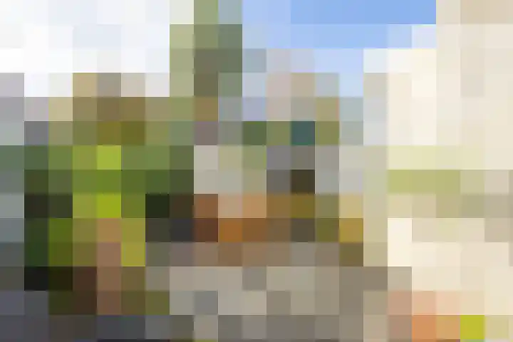 Leeuwerikstraat 27 Geleen thumbnail 26