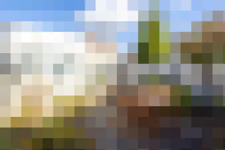 Leeuwerikstraat 27 Geleen thumbnail 27