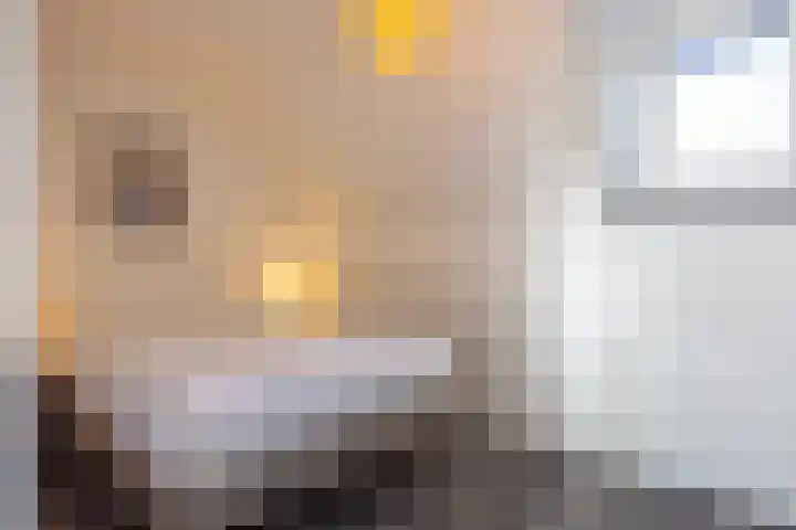 Leeuwerikstraat 27 Geleen thumbnail 28