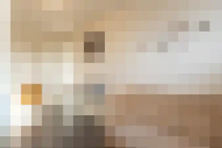 Leeuwerikstraat 27 Geleen thumbnail 33