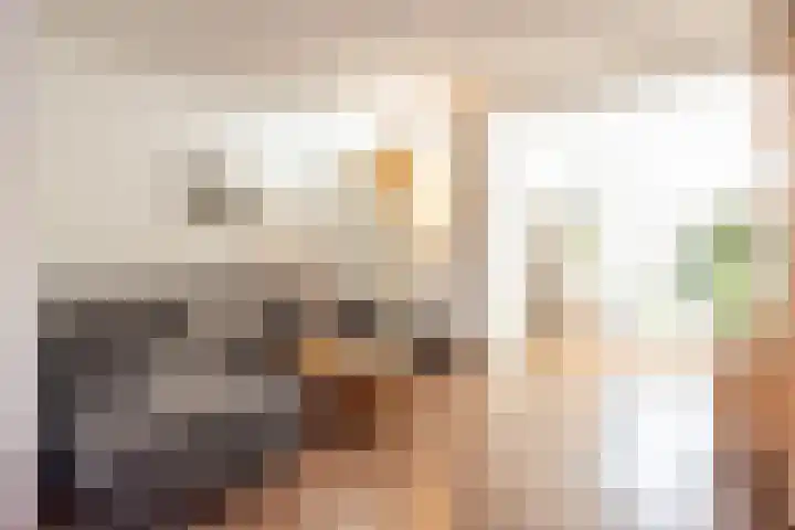 Leeuwerikstraat 27 Geleen thumbnail 9