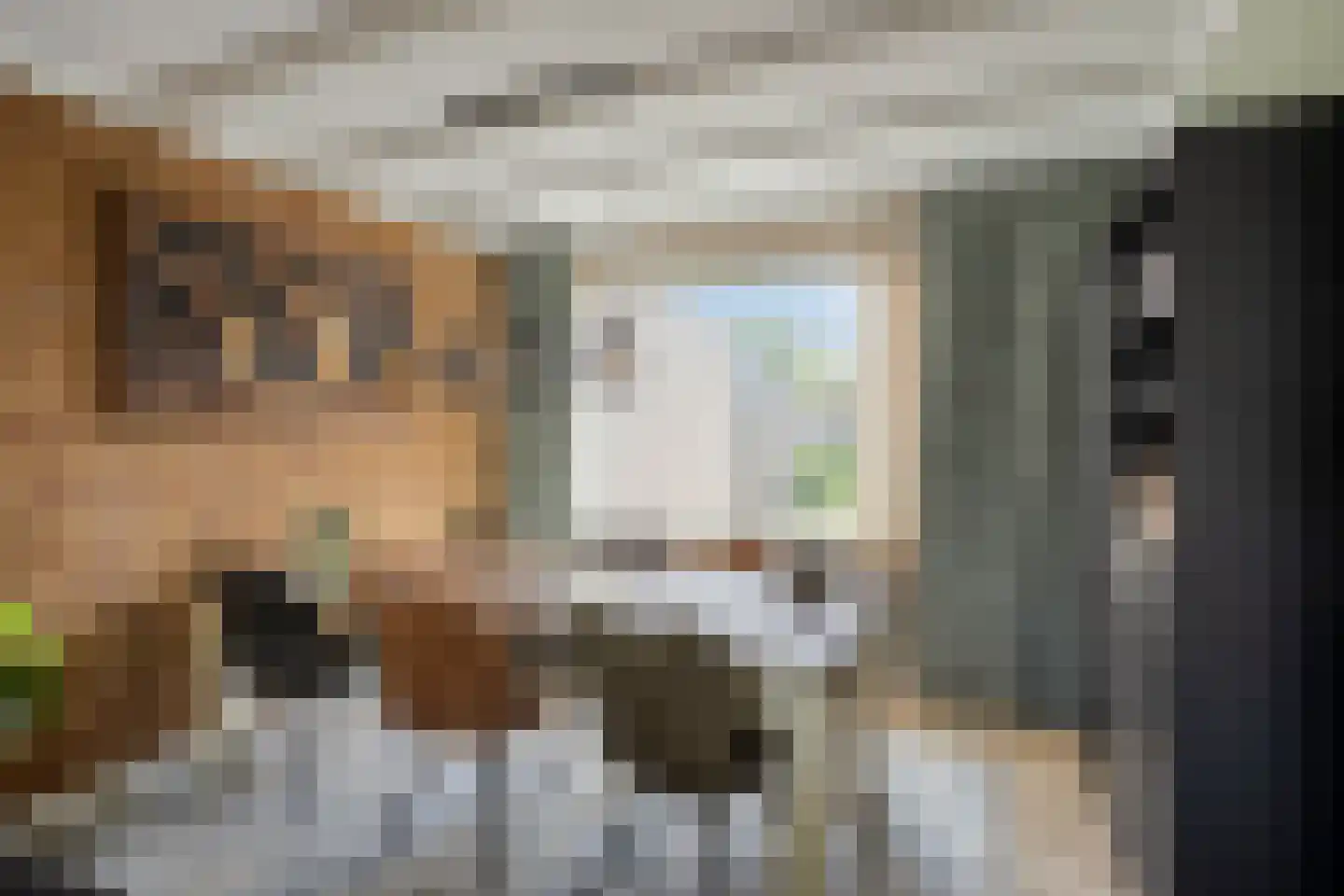Leeuwerikstraat 27 Oss thumbnail 11