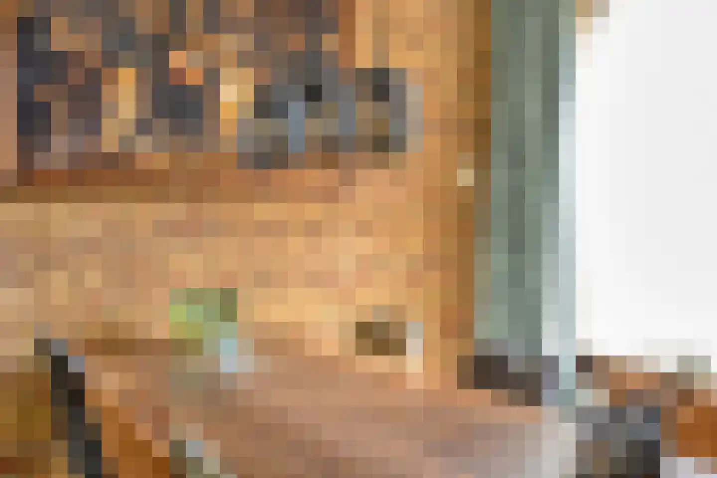 Leeuwerikstraat 27 Oss thumbnail 12