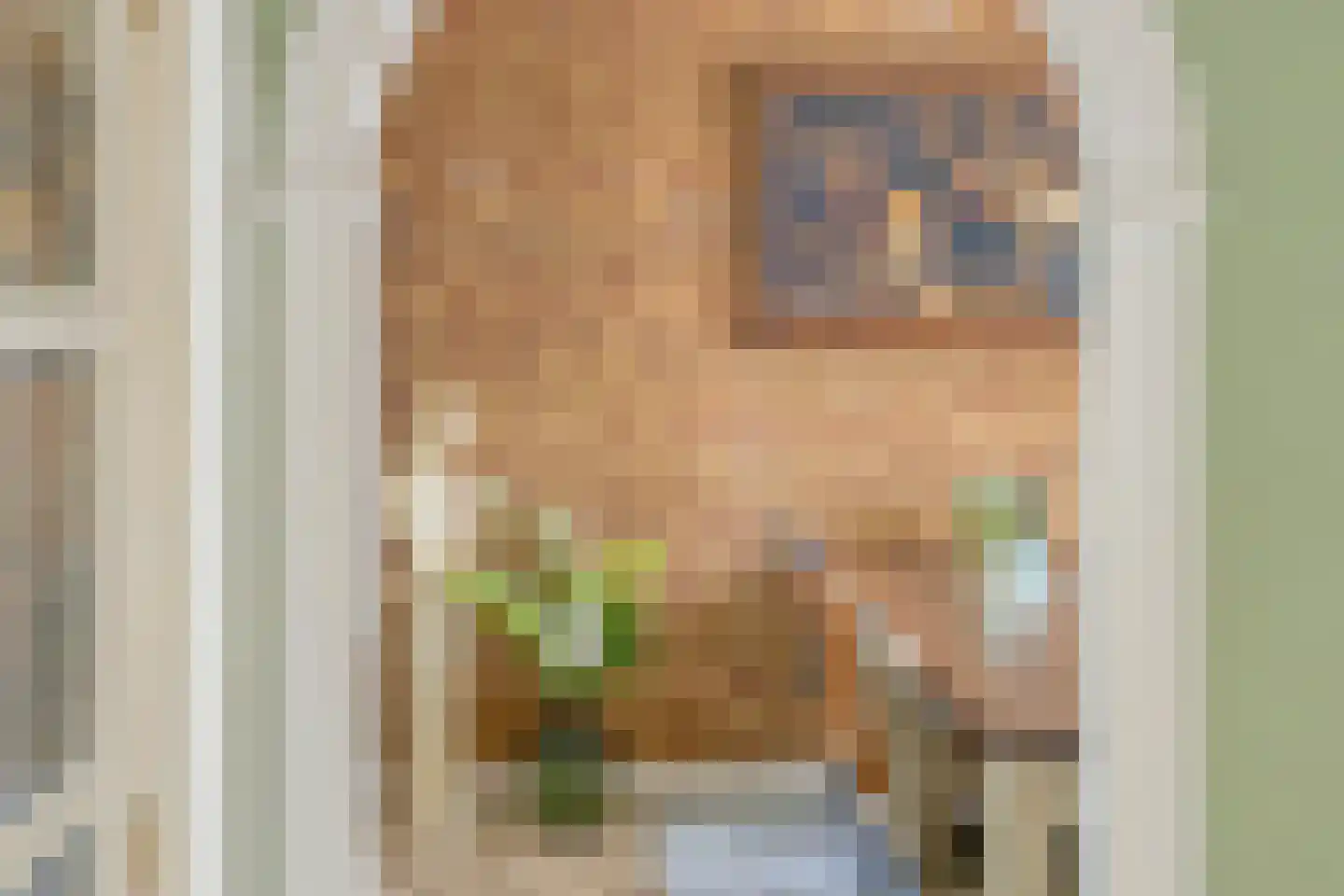 Leeuwerikstraat 27 Oss thumbnail 13