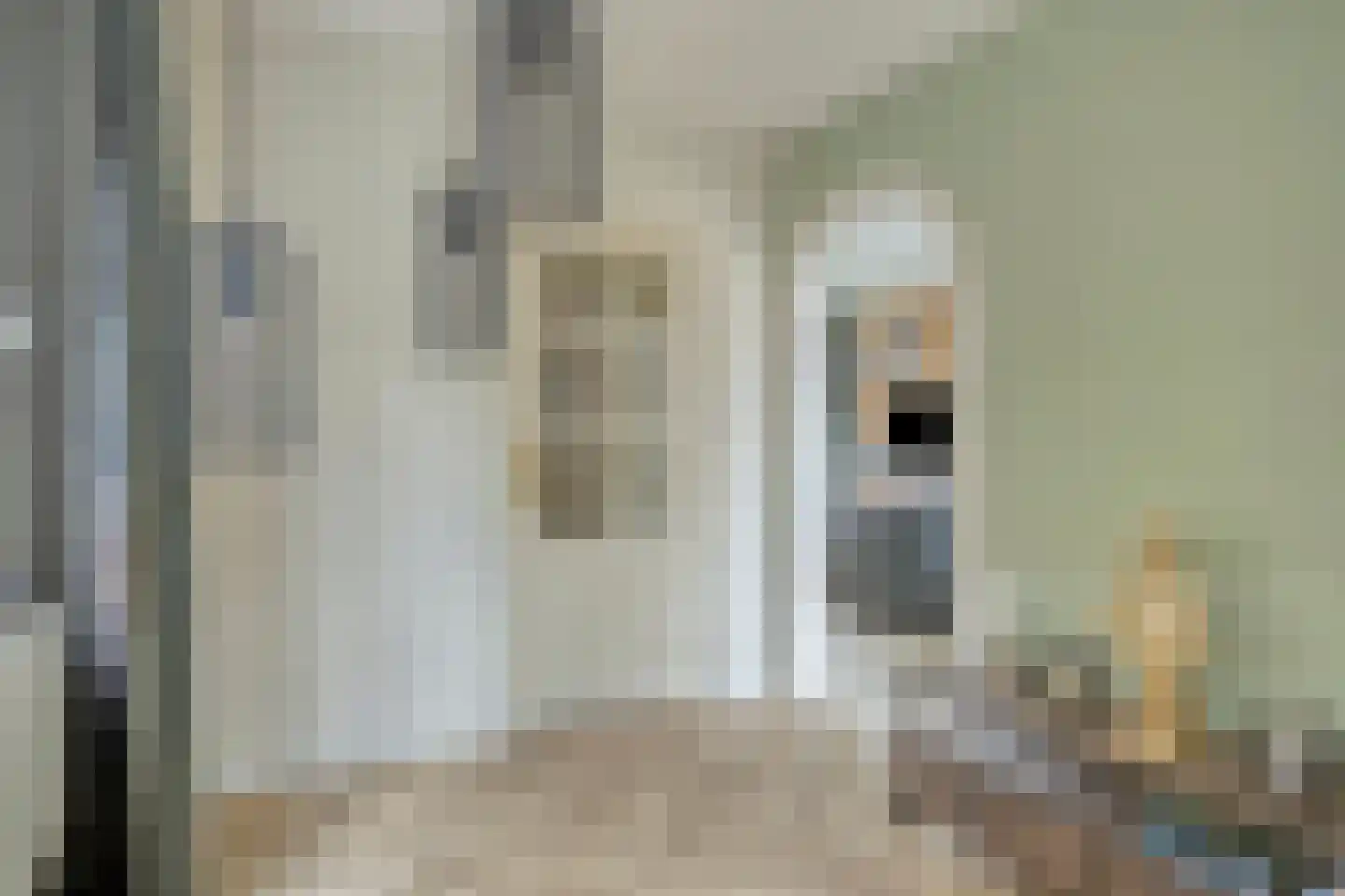 Leeuwerikstraat 27 Oss thumbnail 15