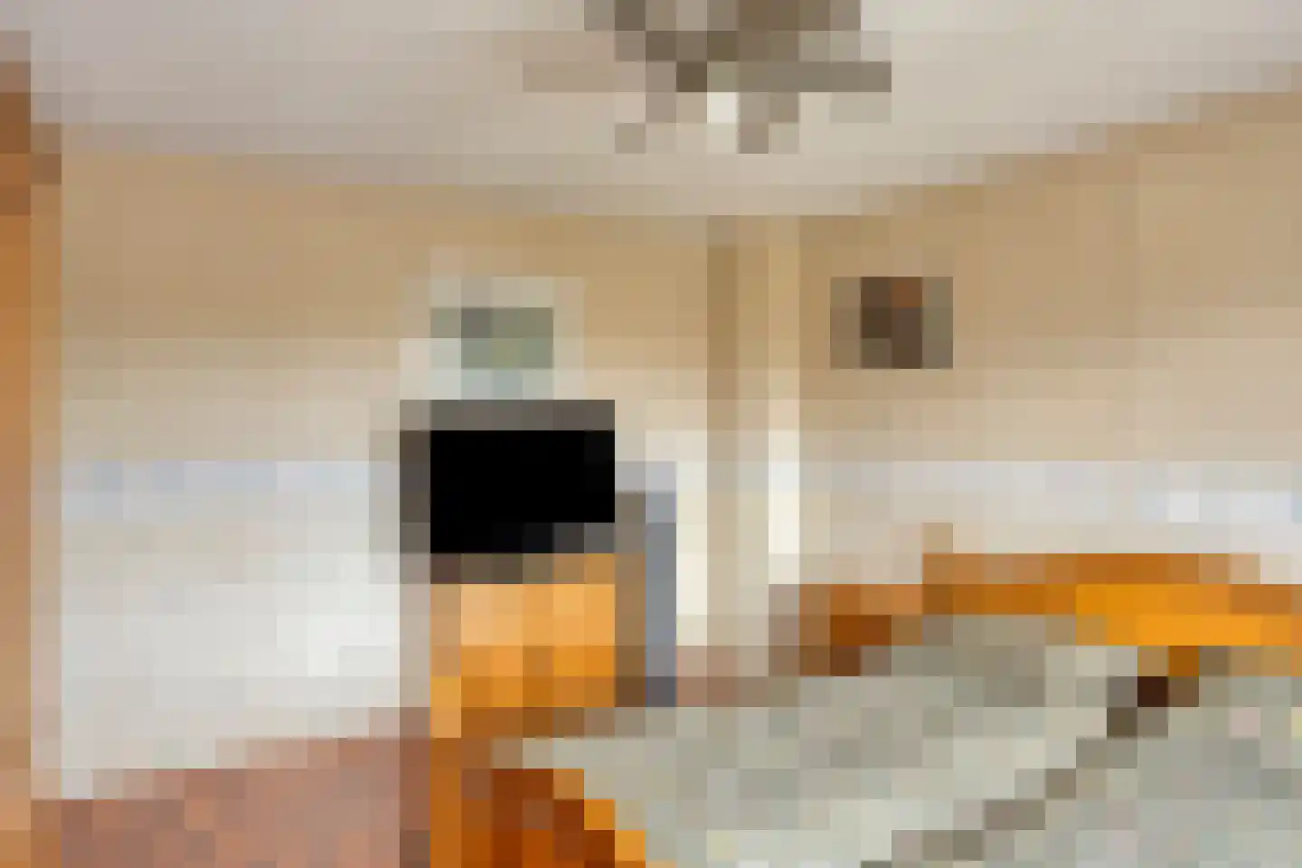 Leeuwerikstraat 27 Oss thumbnail 22