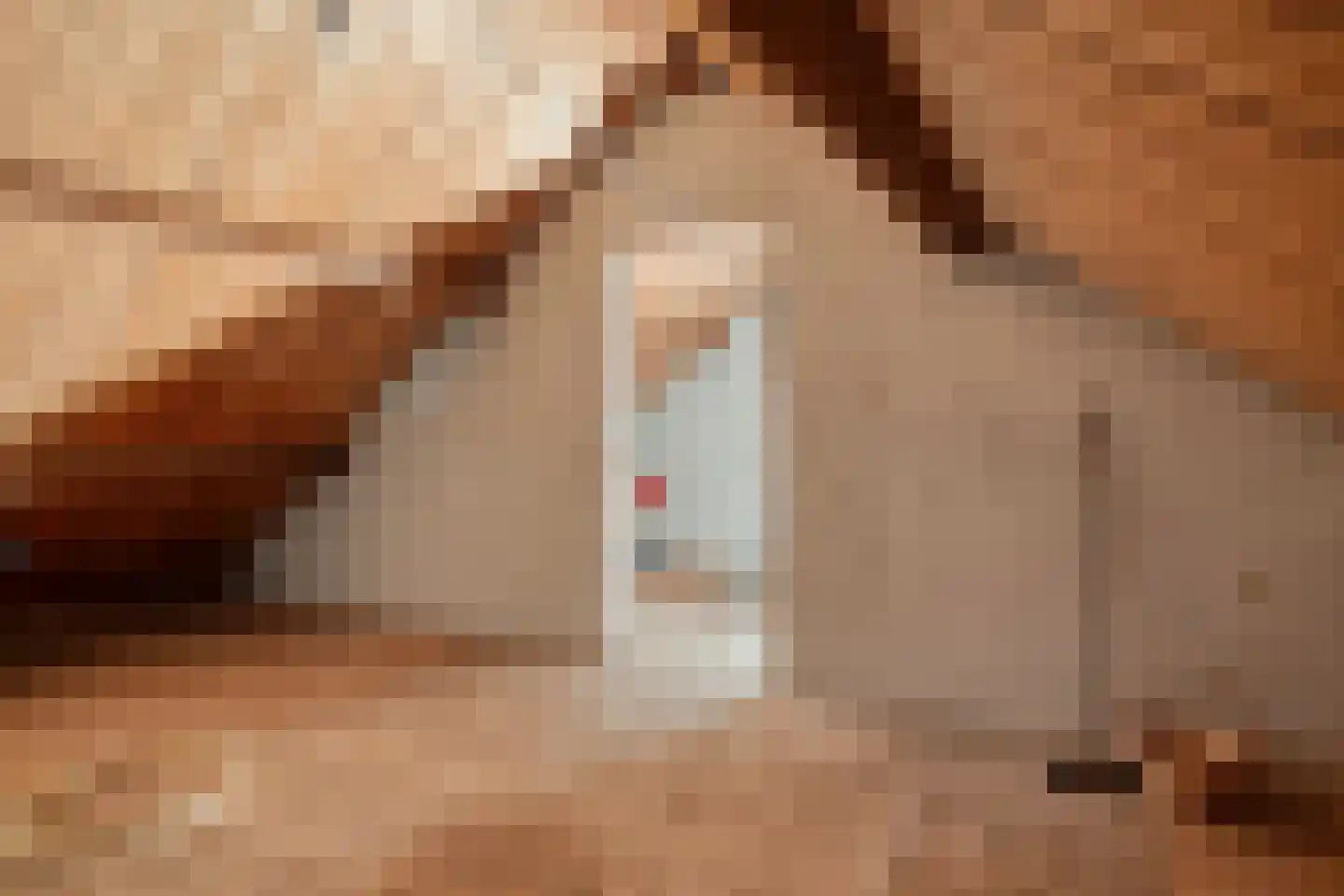 Leeuwerikstraat 27 Oss thumbnail 31