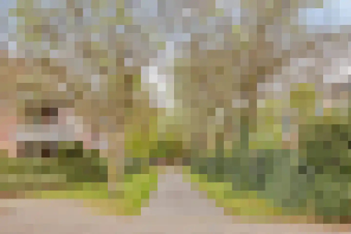 Leeuwerikstraat 27 Oss thumbnail 40