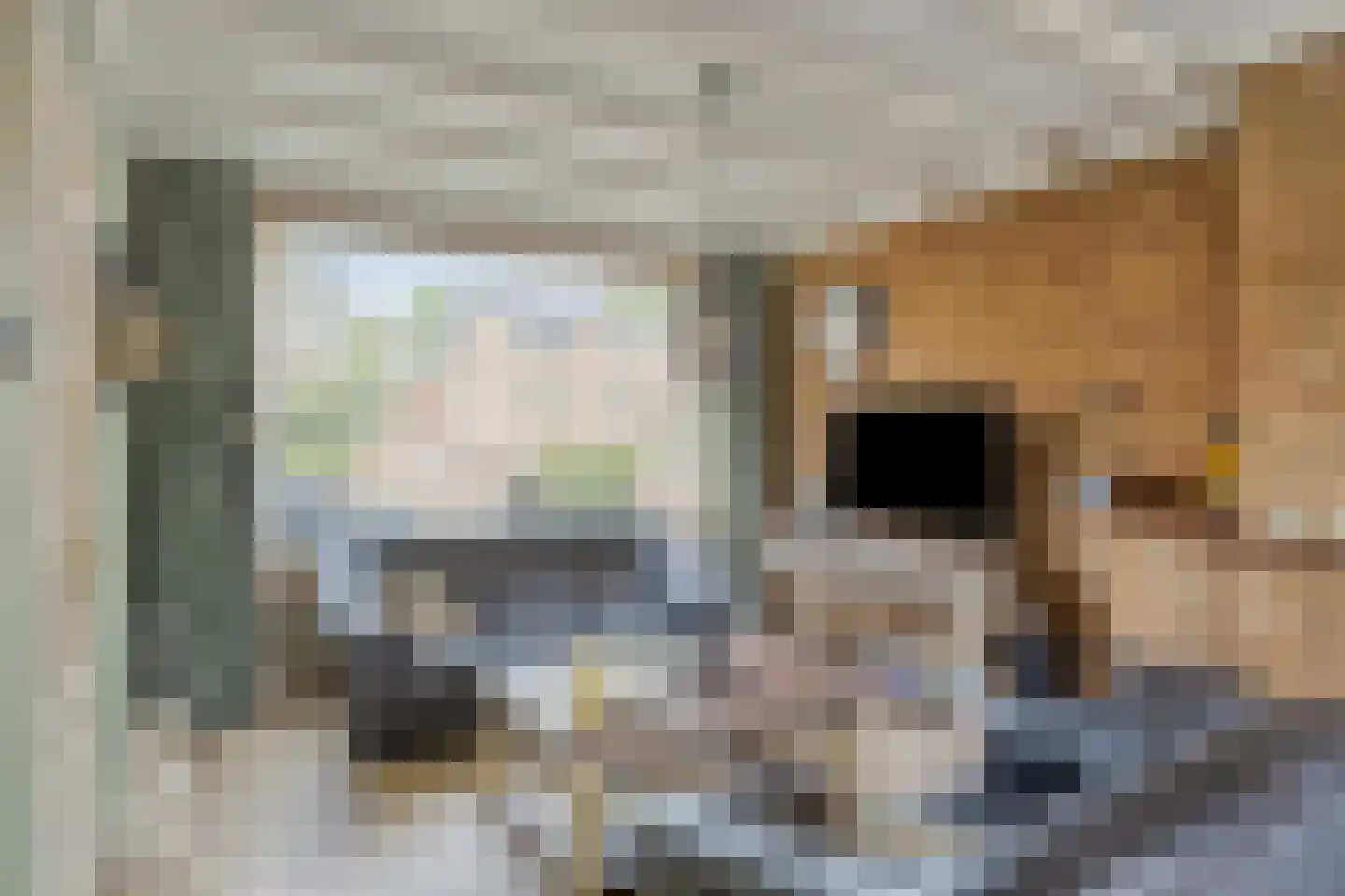 Leeuwerikstraat 27 Oss thumbnail 8