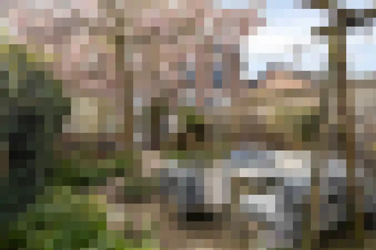 Leeuwerikstraat 27 Zutphen thumbnail 36