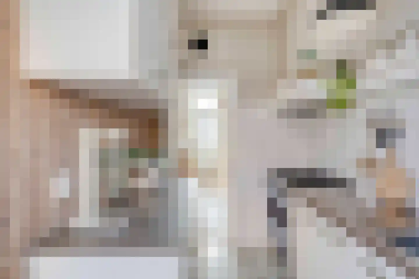 Leeuwerikstraat 27 Zutphen thumbnail 7
