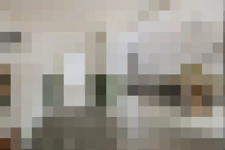 Leeuwerikstraat 28 Goor thumbnail 10
