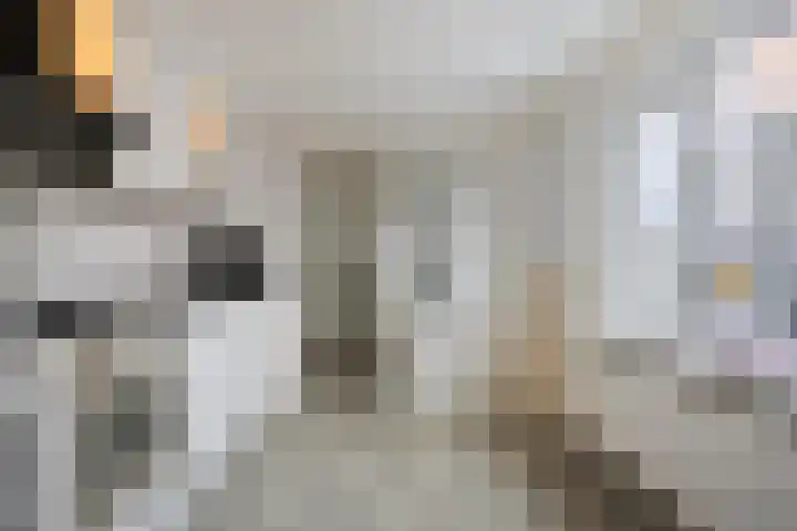 Leeuwerikstraat 28 Goor thumbnail 12