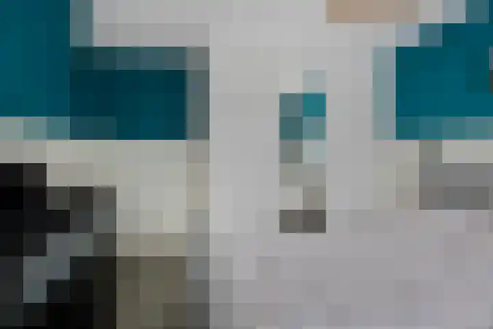 Leeuwerikstraat 28 Goor thumbnail 19