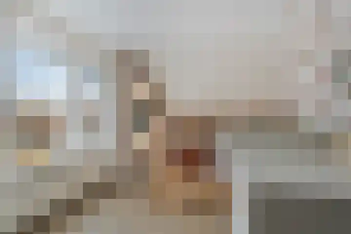 Leeuwerikstraat 28 Goor thumbnail 22