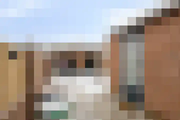 Leeuwerikstraat 28 Goor thumbnail 25