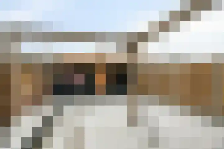 Leeuwerikstraat 28 Goor thumbnail 26