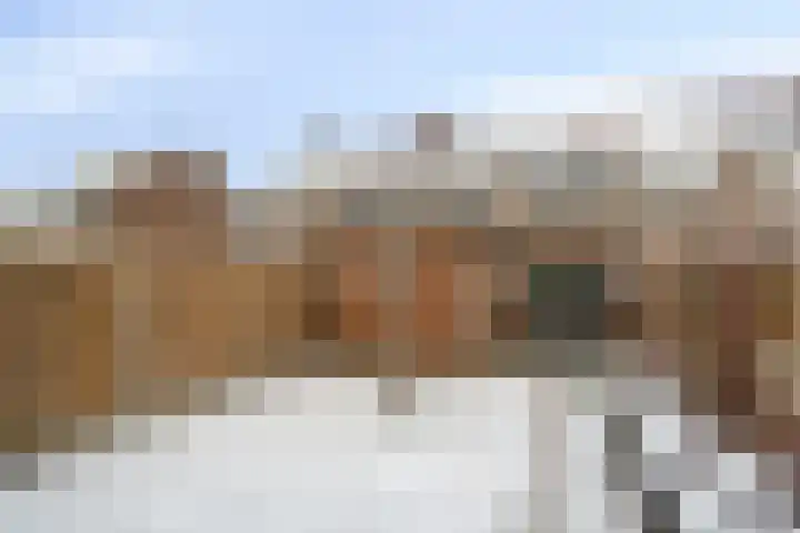 Leeuwerikstraat 28 Goor thumbnail 29