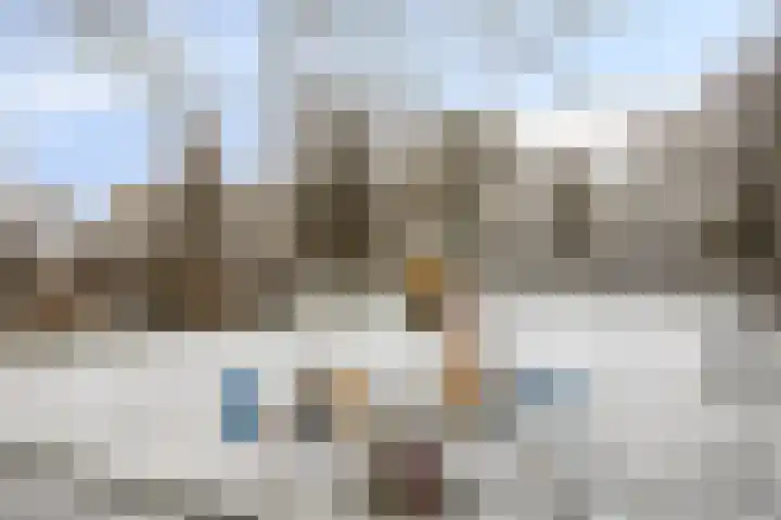 Leeuwerikstraat 28 Goor thumbnail 31