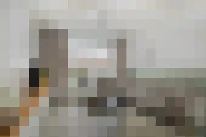 Leeuwerikstraat 28 Goor thumbnail 5