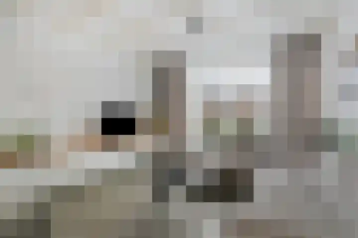 Leeuwerikstraat 28 Goor thumbnail 6