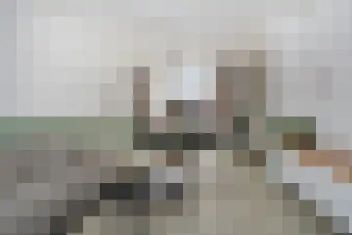 Leeuwerikstraat 28 Goor thumbnail 7