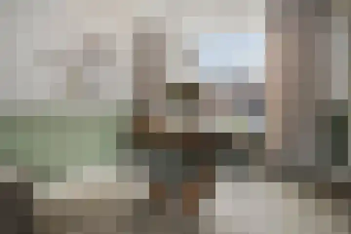 Leeuwerikstraat 28 Goor thumbnail 8