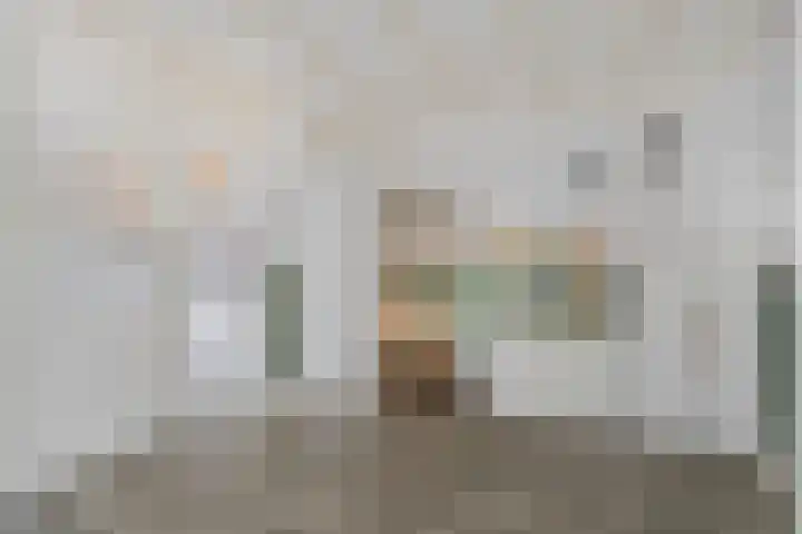 Leeuwerikstraat 28 Goor thumbnail 9