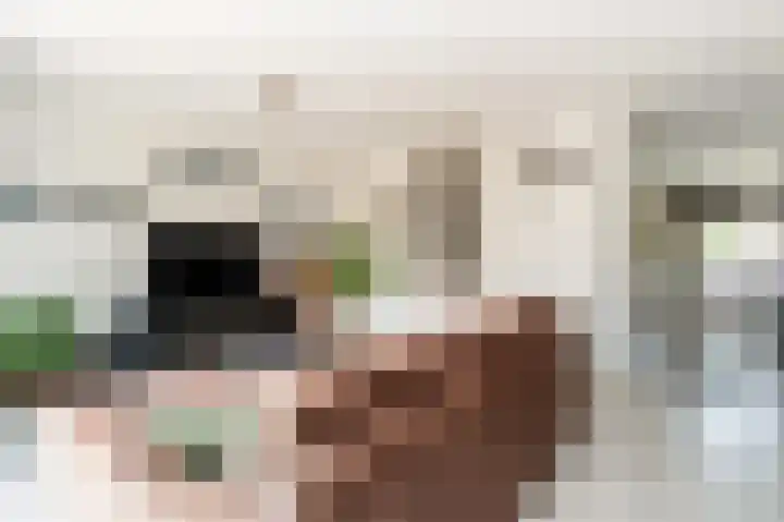 Leeuwerikstraat 28 Hilversum thumbnail 6