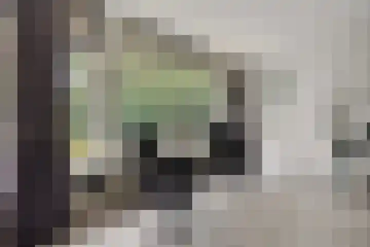 Leeuwerikstraat 28 Vries thumbnail 18