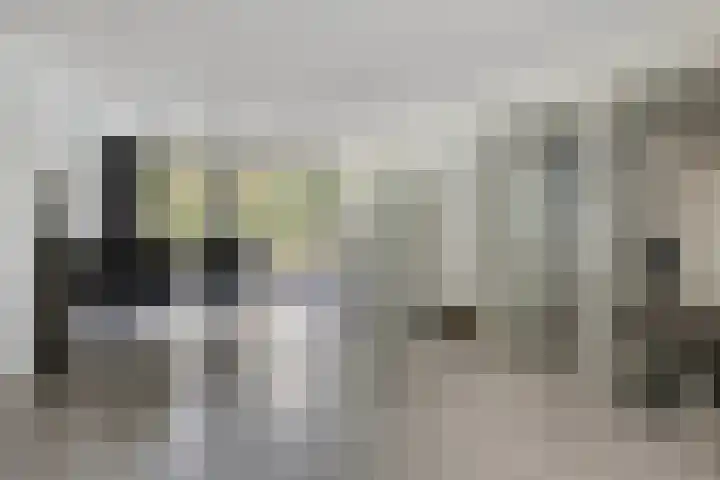 Leeuwerikstraat 28 Vries thumbnail 22