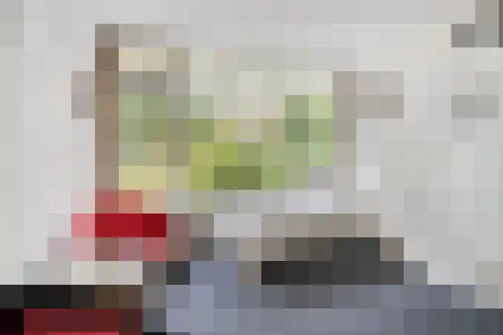 Leeuwerikstraat 28 Vries thumbnail 34