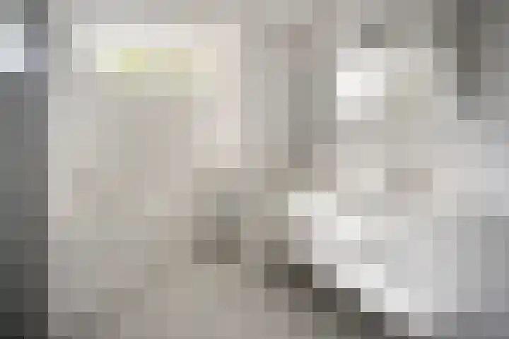 Leeuwerikstraat 28 Vries thumbnail 35