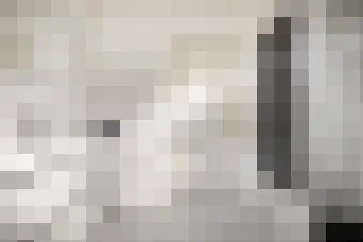 Leeuwerikstraat 28 Vries thumbnail 36