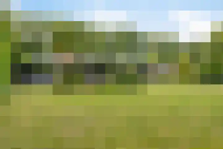 Leeuwerikstraat 28 Vries thumbnail 55