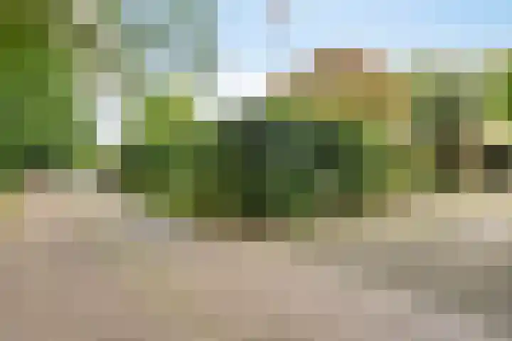 Leeuwerikstraat 28 Vries thumbnail 6