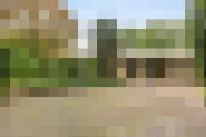Leeuwerikstraat 28 Vries thumbnail 7