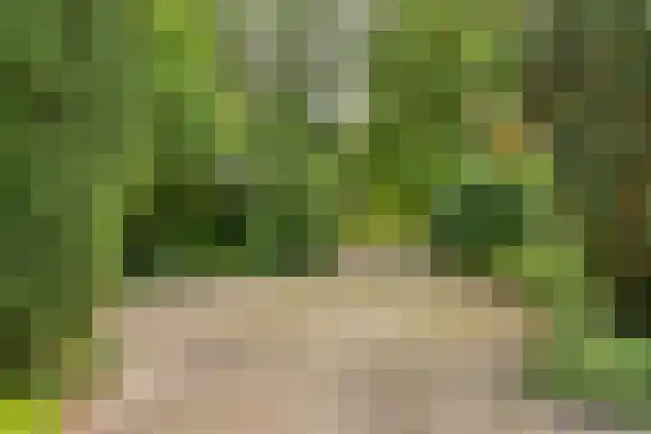 Leeuwerikstraat 28 Vries thumbnail 9