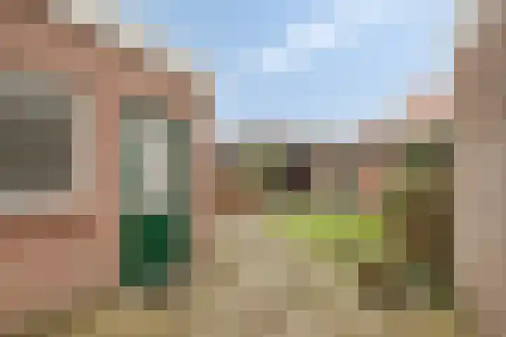 Leeuwerikstraat 29 Goor thumbnail 22