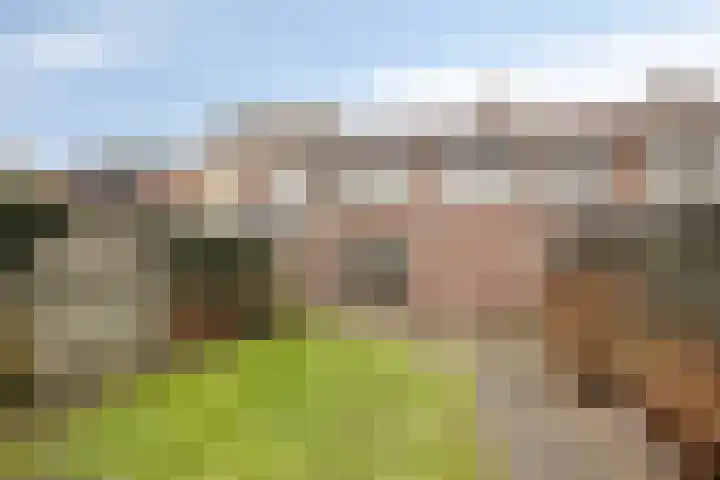 Leeuwerikstraat 29 Goor thumbnail 25