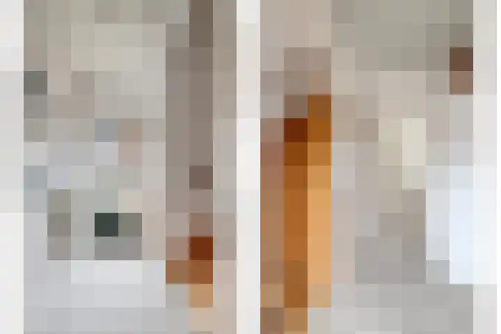 Leeuwerikstraat 29 Goor thumbnail 27