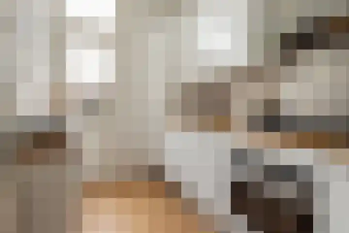 Leeuwerikstraat 3 BS Utrecht thumbnail 12