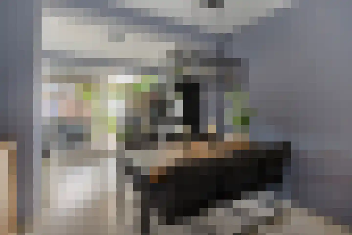 Leeuwerikstraat 3 Goor thumbnail 10