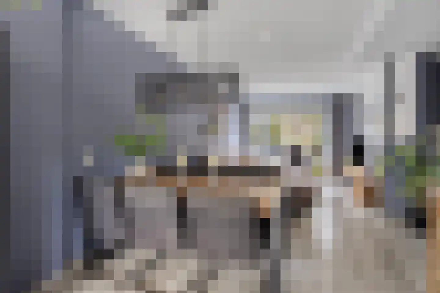 Leeuwerikstraat 3 Goor thumbnail 13