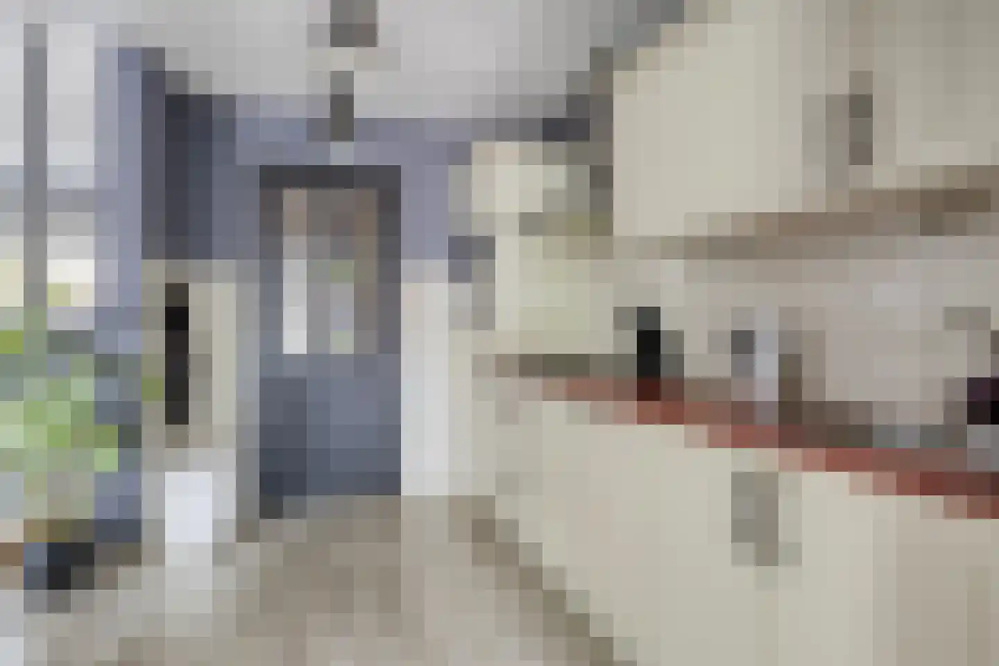 Leeuwerikstraat 3 Goor thumbnail 16