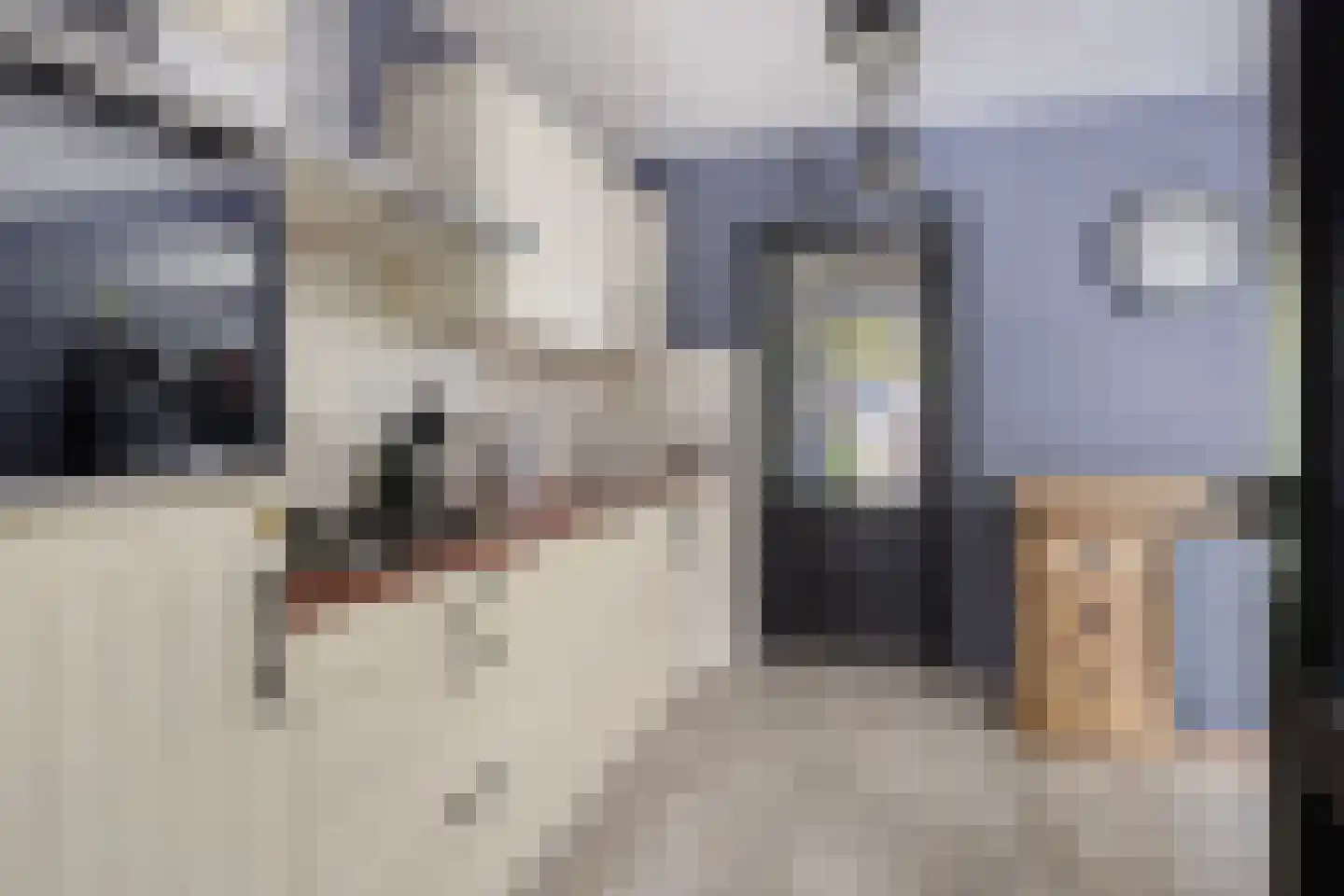 Leeuwerikstraat 3 Goor thumbnail 17