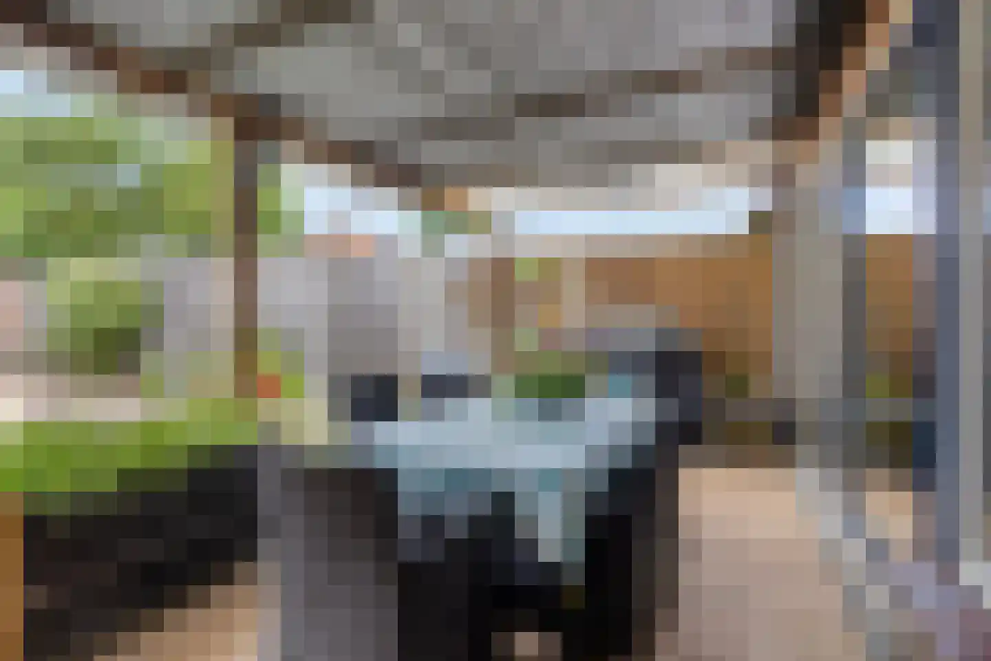Leeuwerikstraat 3 Goor thumbnail 26