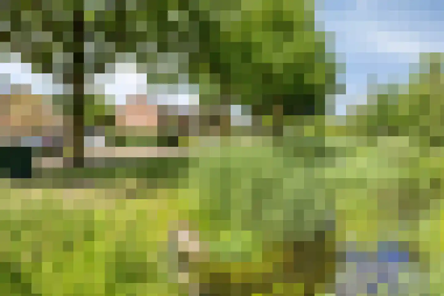Leeuwerikstraat 3 Goor thumbnail 33