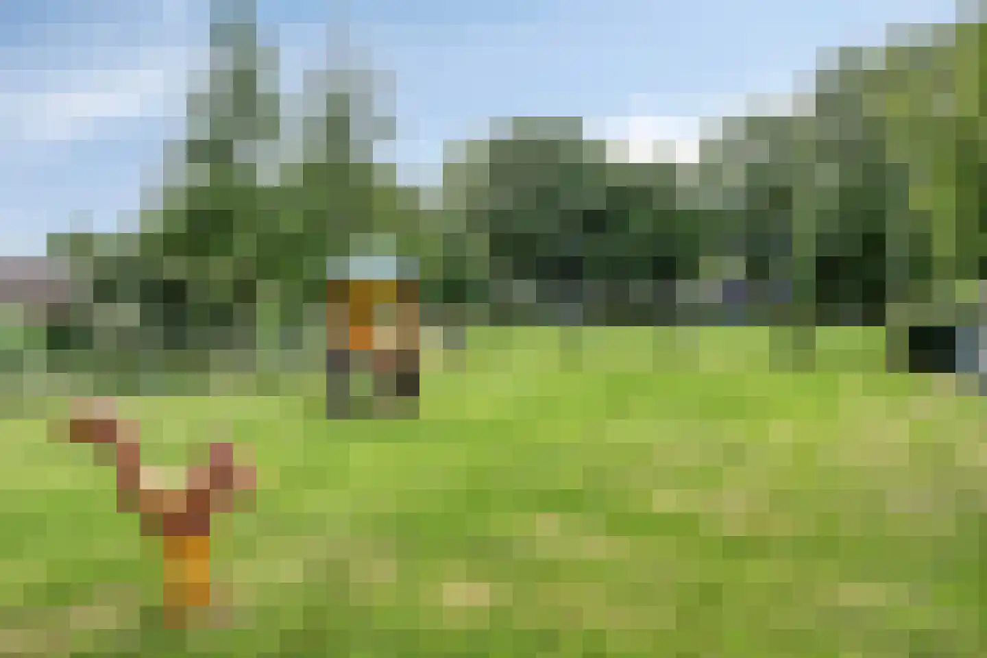 Leeuwerikstraat 3 Goor thumbnail 34